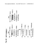 MITOCHONDRIAL LOCALIZATION OF MUC1 diagram and image