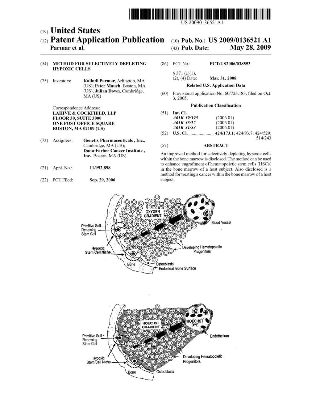 Method for Selectively Depleting Hypoxic Cells - diagram, schematic, and image 01