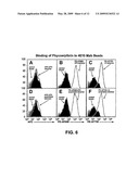 Multivalent Immunogen diagram and image