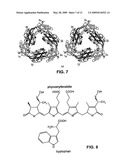 Multivalent Immunogen diagram and image