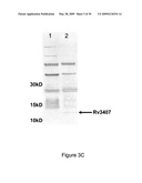 NOVEL RECOMBINANT BCG TUBERCULOSIS VACCINE DESIGNED TO ELICIT IMMUNE RESPONSES TO MYCOBACTERIUM TUBERCULOSIS IN ALL PHYSIOLOGICAL STAGES OF INFECTION AND DISEASE diagram and image