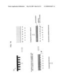 METHODS AND SYSTEMS FOR FORMING FLEXIBLE MULTILAYER STRUCTURES diagram and image