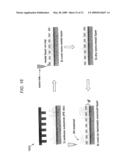 METHODS AND SYSTEMS FOR FORMING FLEXIBLE MULTILAYER STRUCTURES diagram and image
