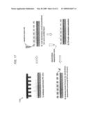 METHODS AND SYSTEMS FOR FORMING FLEXIBLE MULTILAYER STRUCTURES diagram and image