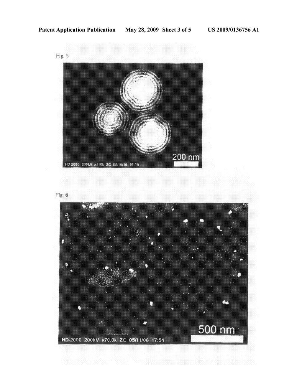 Nanodisk Comprising Block Copolymer - diagram, schematic, and image 04