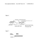 Integrated Flow Field (IFF) Structure diagram and image