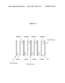 Integrated Flow Field (IFF) Structure diagram and image