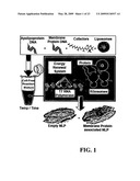 METHODS AND SYSTEMS FOR MONITORING PRODUCTION OF A TARGET PROTEIN IN A NANOLIPOPROTEIN PARTICLE diagram and image