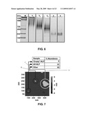 METHODS AND SYSTEMS FOR MONITORING PRODUCTION OF A TARGET PROTEIN IN A NANOLIPOPROTEIN PARTICLE diagram and image