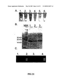 METHODS AND SYSTEMS FOR MONITORING PRODUCTION OF A TARGET PROTEIN IN A NANOLIPOPROTEIN PARTICLE diagram and image