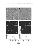 METHODS AND SYSTEMS FOR MONITORING PRODUCTION OF A TARGET PROTEIN IN A NANOLIPOPROTEIN PARTICLE diagram and image