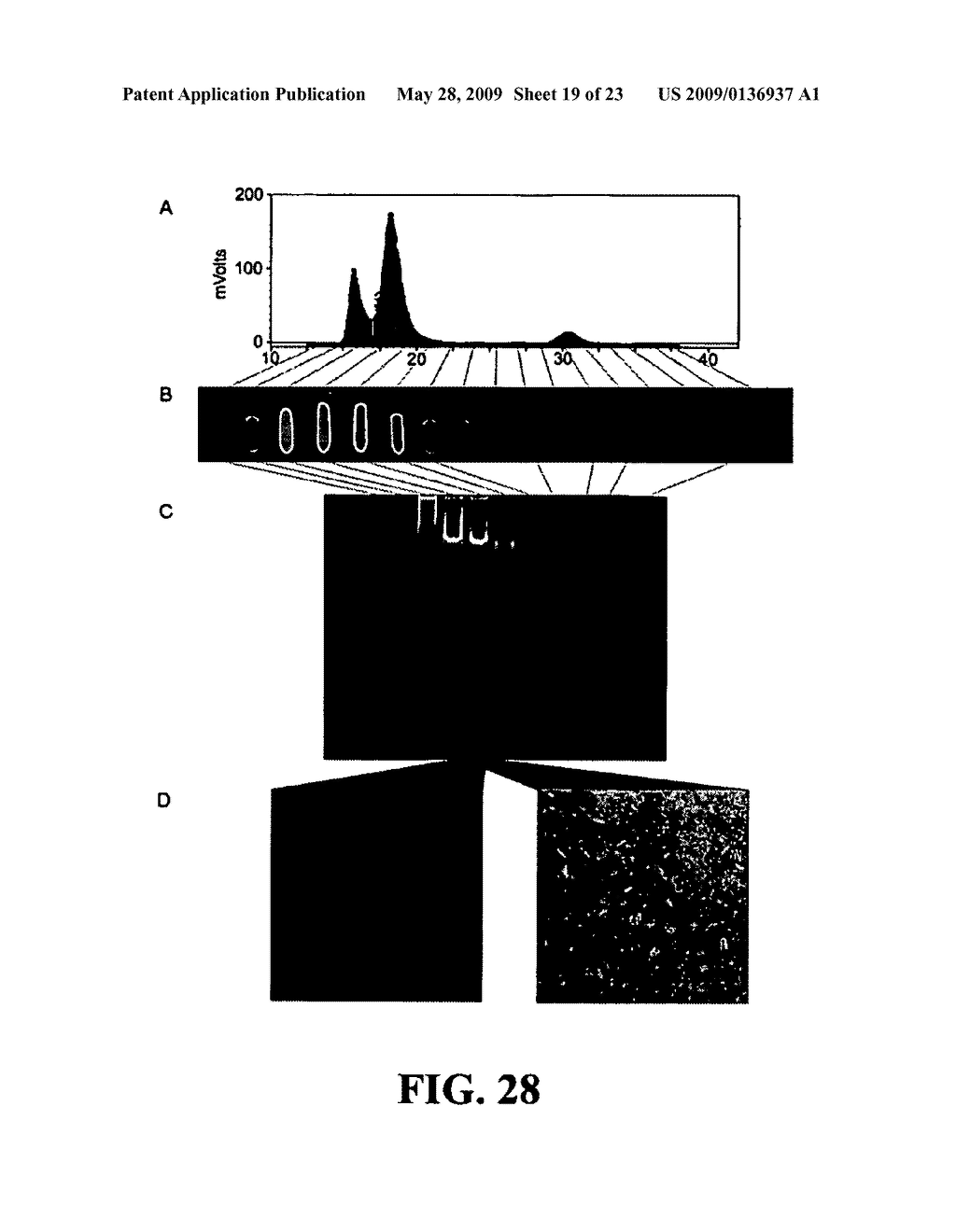 METHODS AND SYSTEMS FOR MONITORING PRODUCTION OF A TARGET PROTEIN IN A NANOLIPOPROTEIN PARTICLE - diagram, schematic, and image 20