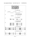 METHODS FOR SEQUENCE-DIRECTED MOLECULAR BREEDING diagram and image