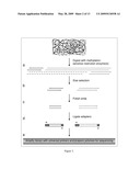 METHODS FOR SEQUENCE-DIRECTED MOLECULAR BREEDING diagram and image