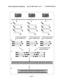 METHODS FOR SEQUENCE-DIRECTED MOLECULAR BREEDING diagram and image