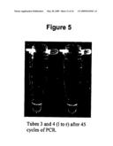 METHODS, KITS AND COMPOSITIONS PERTAINING TO LINEAR BEACONS diagram and image