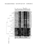 COMPOSITIONS AND METHODS FOR ASSESSING DISORDERS diagram and image