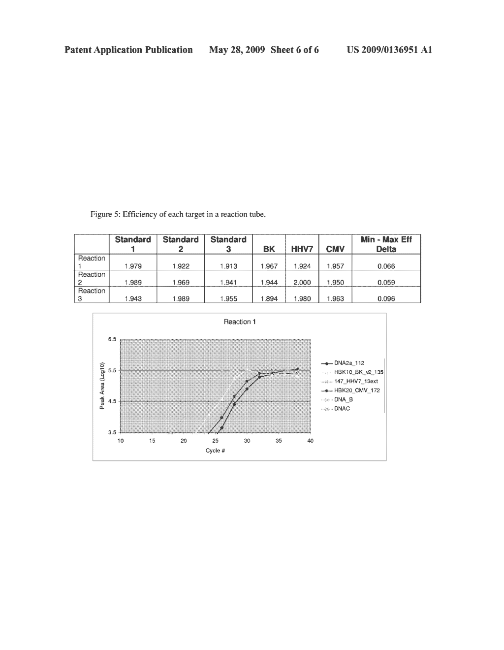 QUANTIFICATION OF NUCLEIC ACID MOLECULES USING MULTIPLEX PCR - diagram, schematic, and image 07