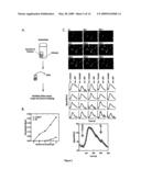 Novel in vitro methods for studying receptors recognizing volatile compounds diagram and image