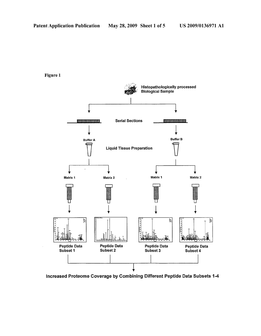 MULTIPLEX LIQUID TISSUE METHOD FOR INCREASED PROTEOMIC COVERAGE FROM HISTOPATHOLOGICALLY PROCESSED BIOLOGICAL SAMPLES, TISSUES, AND CELLS - diagram, schematic, and image 02