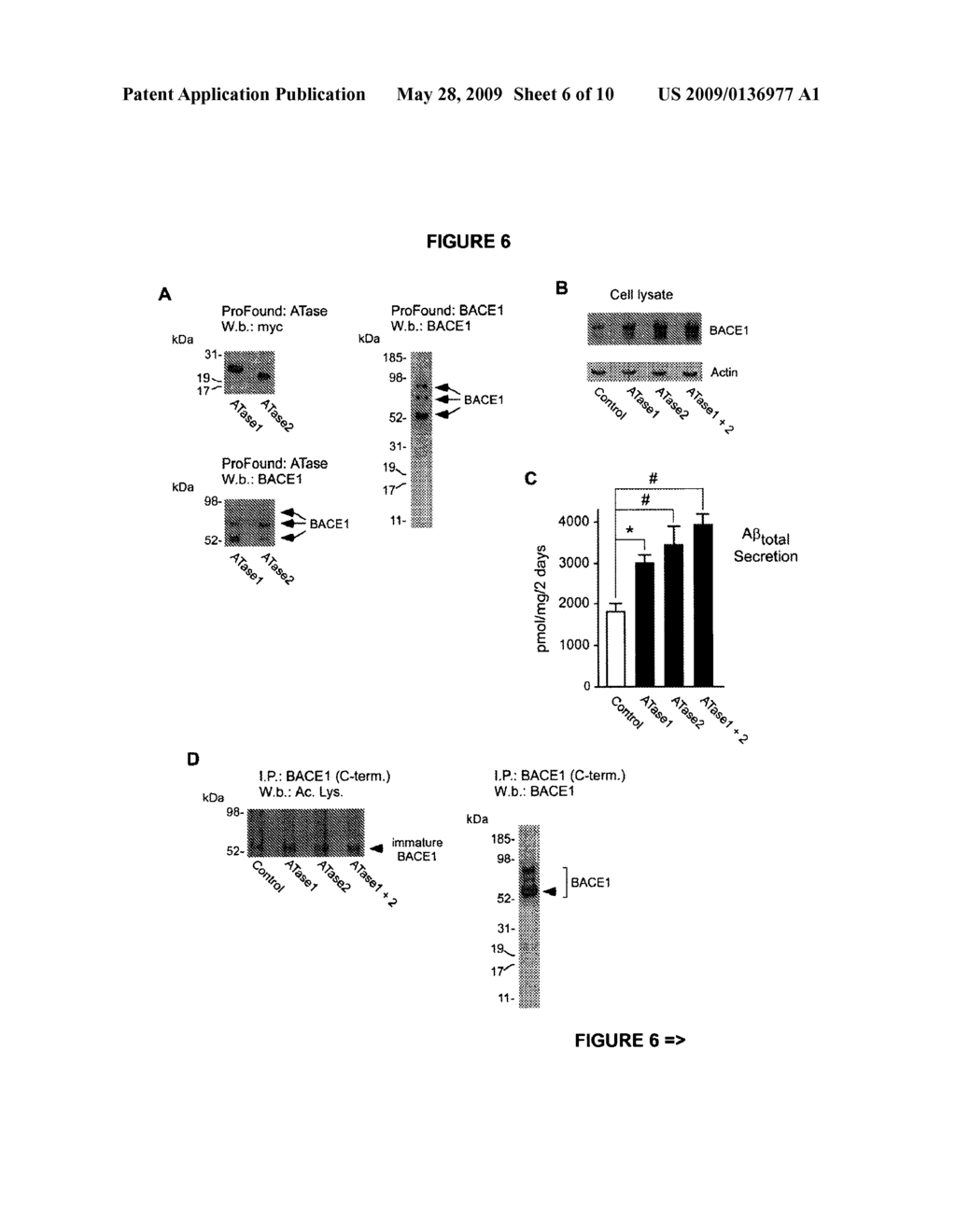 NOVEL TARGETS FOR ALZHEIMER'S DISEASE - diagram, schematic, and image 07