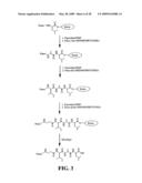 CD10-activated prodrug compounds diagram and image