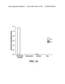 CD10-activated prodrug compounds diagram and image