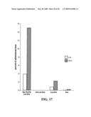 CD10-activated prodrug compounds diagram and image