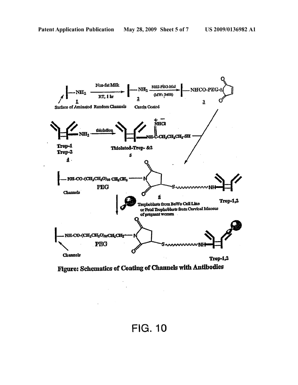 CELL SEPARATION USING MICROCHANNEL HAVING PATTERNED POSTS - diagram, schematic, and image 06