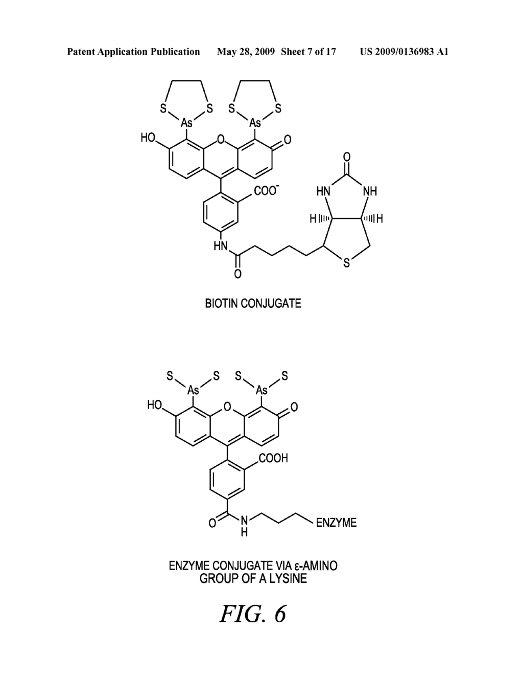 TARGET SEQUENCES FOR SYNTHETIC MOLECULES - diagram, schematic, and image 08