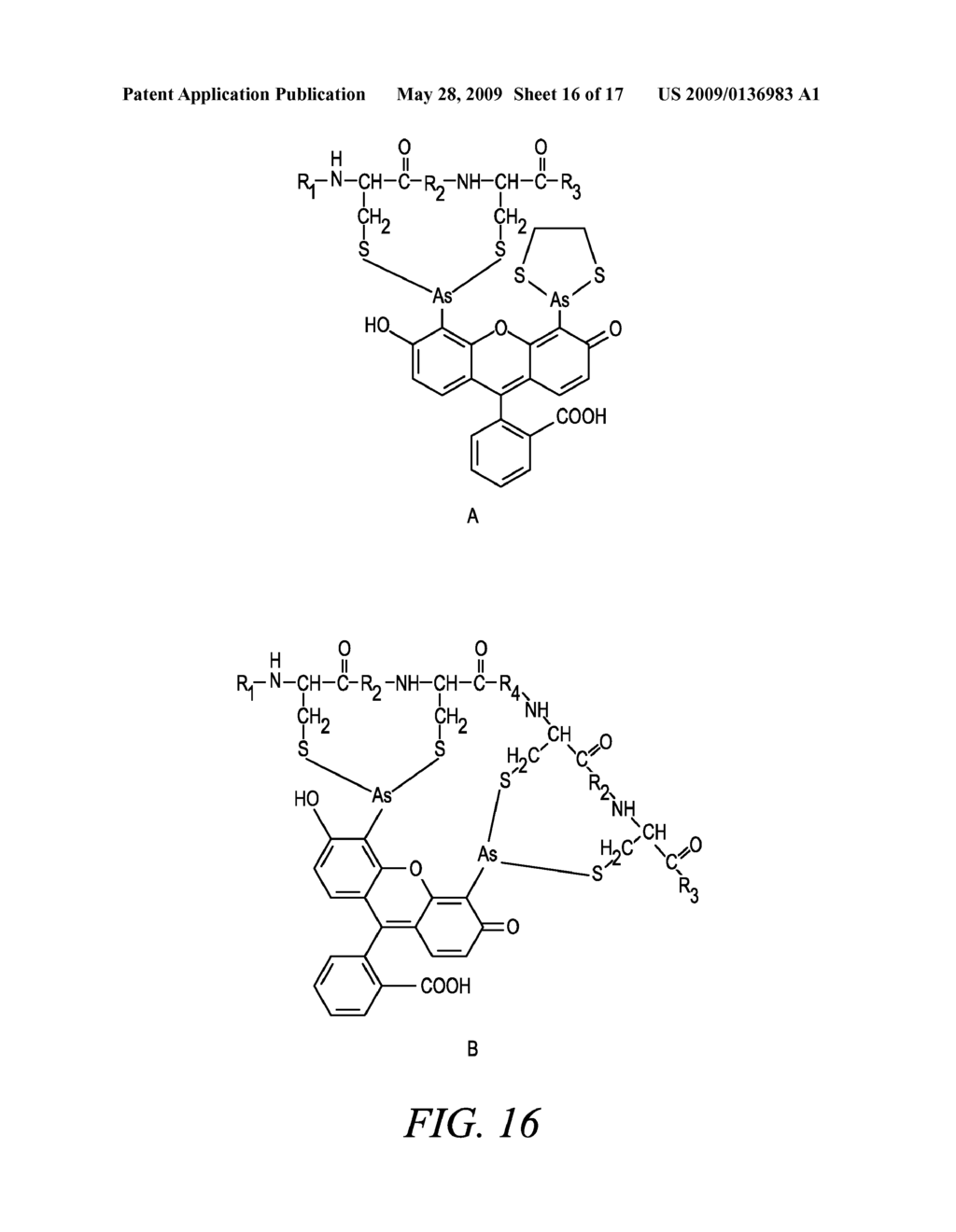 TARGET SEQUENCES FOR SYNTHETIC MOLECULES - diagram, schematic, and image 17