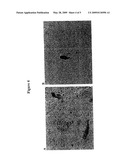 METHODS FOR IDENTIFYING SUBSTANCES FOR THE TREATMENT OF ALZHEIMER S DISEASE diagram and image