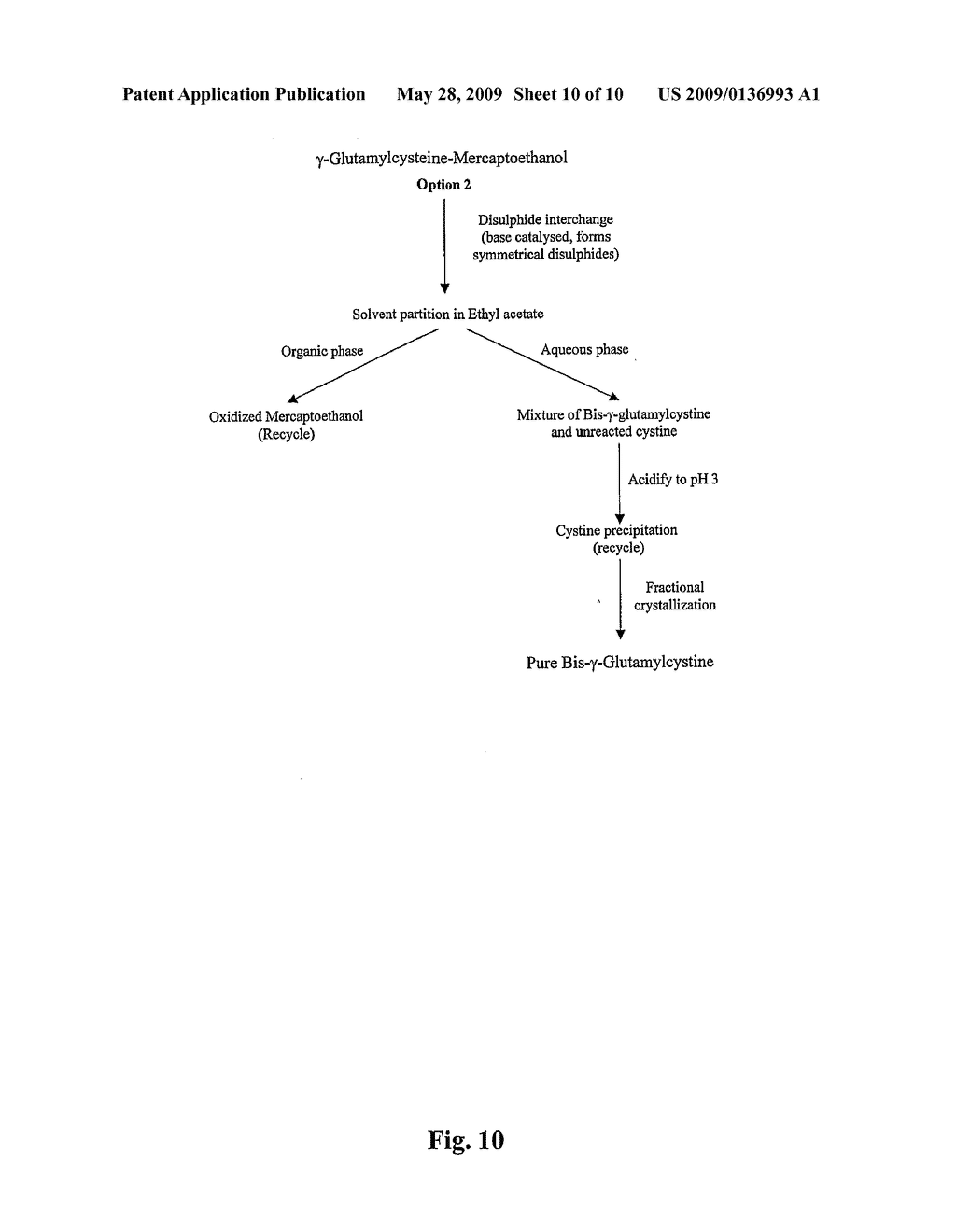 Process for the Production of Gamma-Glutamylcysteine - diagram, schematic, and image 11