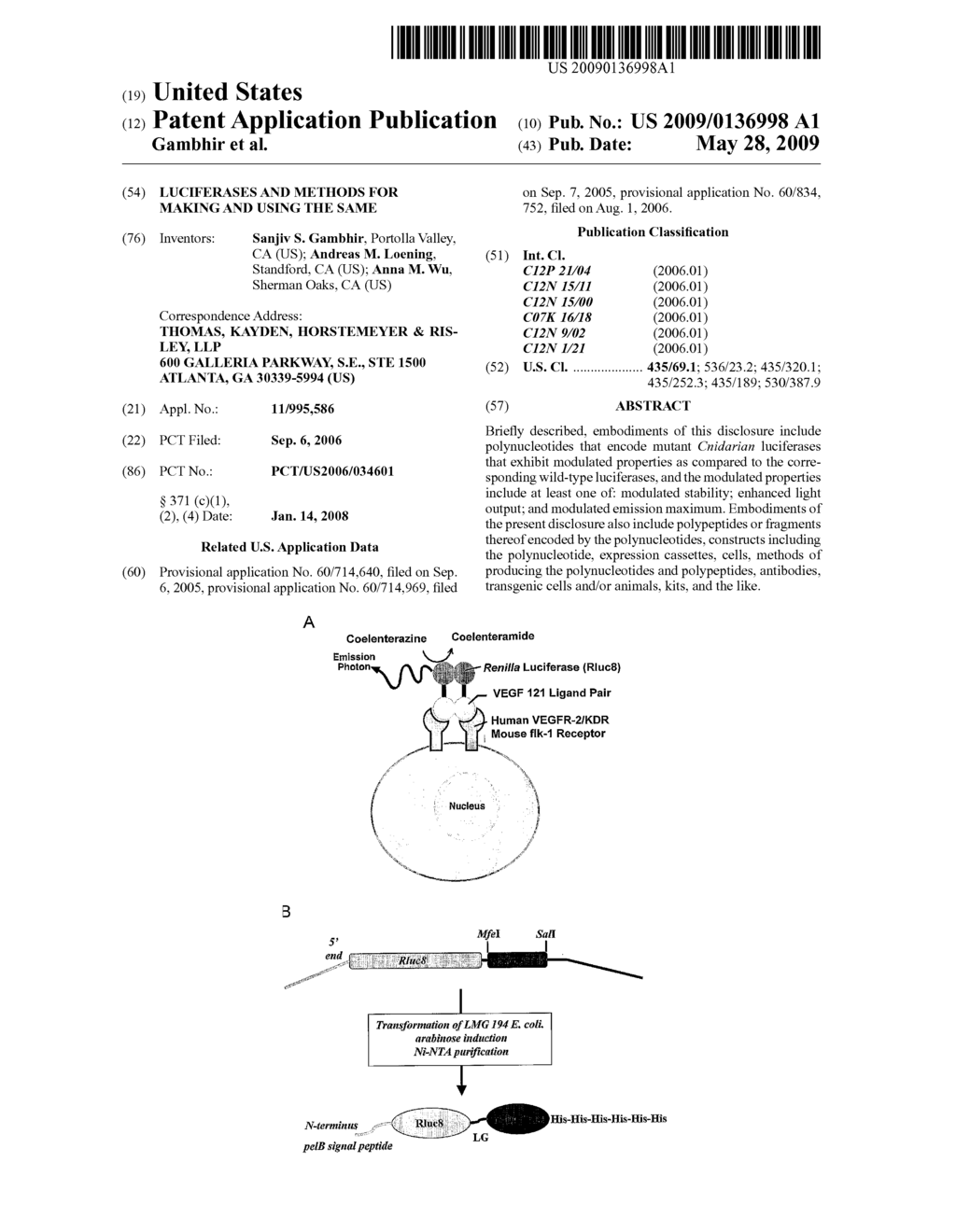 LUCIFERASES AND METHODS FOR MAKING AND USING THE SAME - diagram, schematic, and image 01