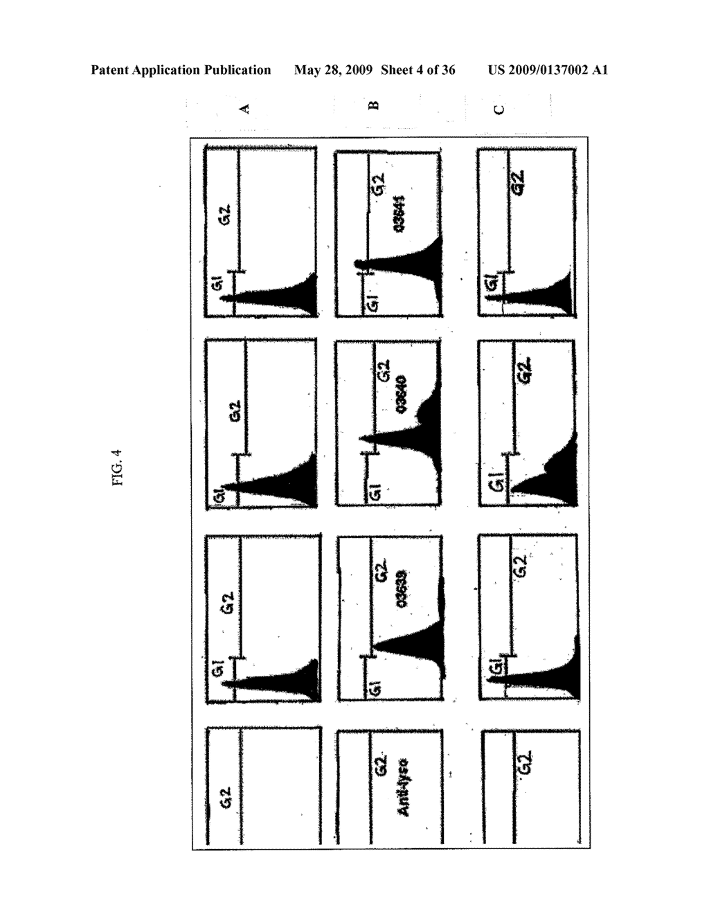 ANTI EPHB4 ANTIBODIES AND ANTIBODY FRAGMENTS - diagram, schematic, and image 05