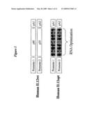 IL-12 for Expression in Mammalian Cell diagram and image