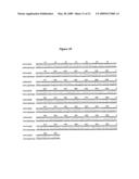 IL-12 for Expression in Mammalian Cell diagram and image