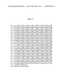 IL-12 for Expression in Mammalian Cell diagram and image