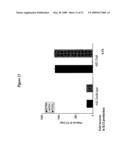 IL-12 for Expression in Mammalian Cell diagram and image