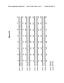 IL-12 for Expression in Mammalian Cell diagram and image