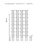 IL-12 for Expression in Mammalian Cell diagram and image