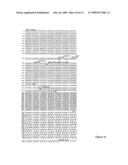 IL-12 for Expression in Mammalian Cell diagram and image