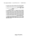 IL-12 for Expression in Mammalian Cell diagram and image