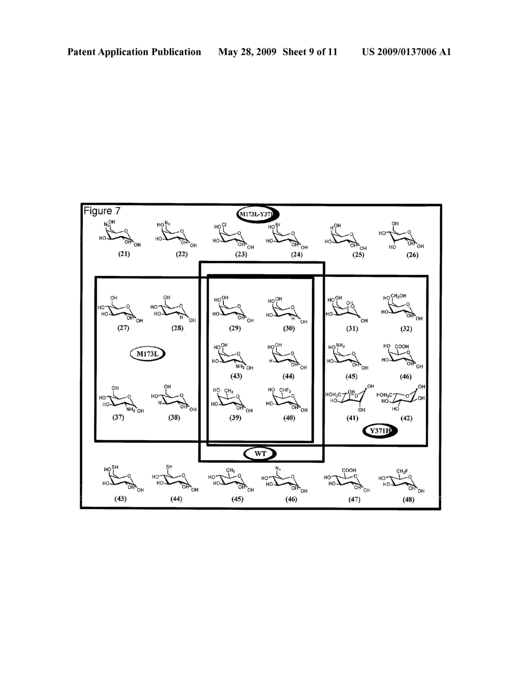 Sugar Kinases with Expanded Substrate Specificity and Their Use - diagram, schematic, and image 10