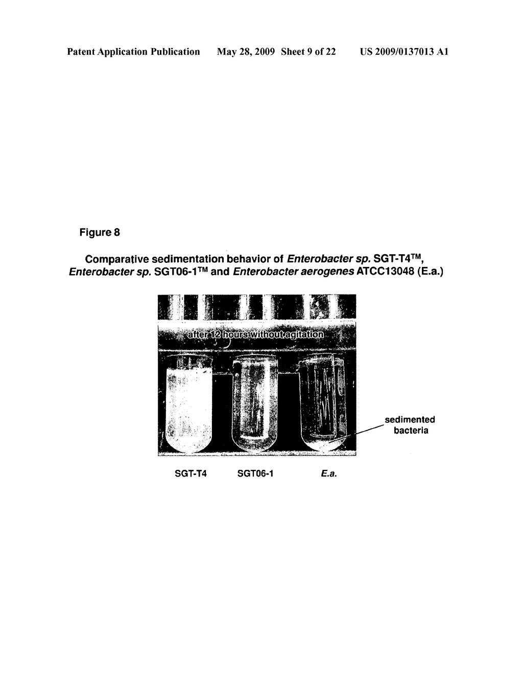MICROORGANISMS AND METHODS FOR INCREASED HYDROGEN PRODUCTION USING DIVERSE CARBONACEOUS FEEDSTOCK AND HIGHLY ABSORPTIVE MATERIALS - diagram, schematic, and image 10