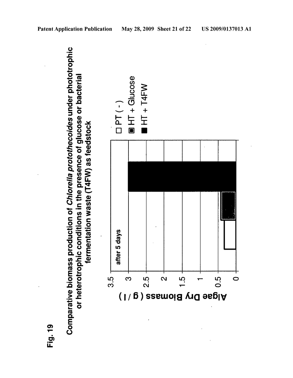 MICROORGANISMS AND METHODS FOR INCREASED HYDROGEN PRODUCTION USING DIVERSE CARBONACEOUS FEEDSTOCK AND HIGHLY ABSORPTIVE MATERIALS - diagram, schematic, and image 22