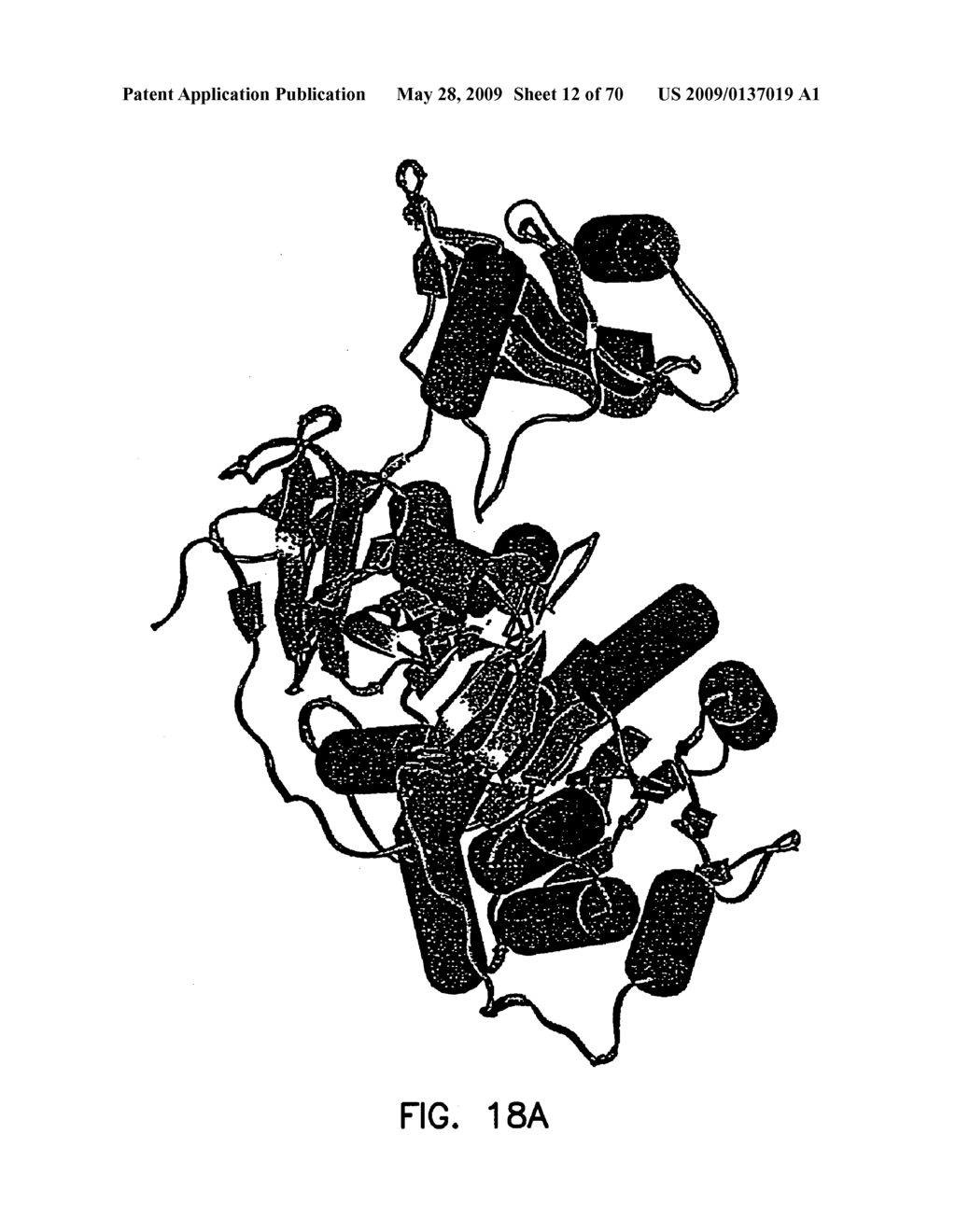 Thermostable luciferases and methods of production - diagram, schematic, and image 13