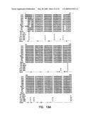 Thermostable luciferases and methods of production diagram and image