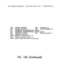 Thermostable luciferases and methods of production diagram and image