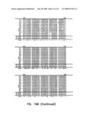 Thermostable luciferases and methods of production diagram and image